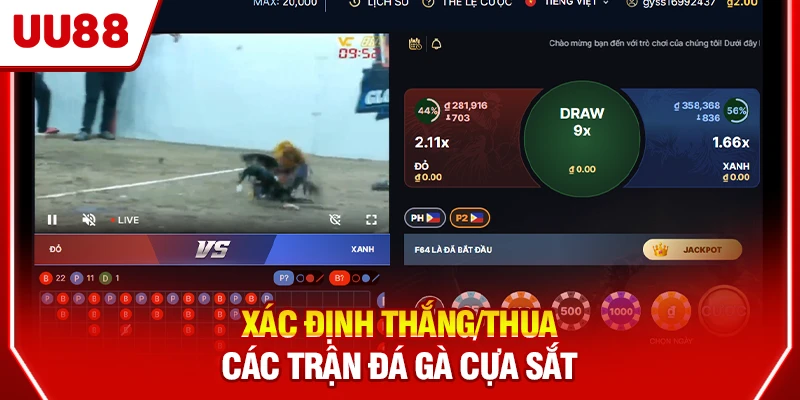 Xác định thắng/thua các trận đá gà cựa sắt